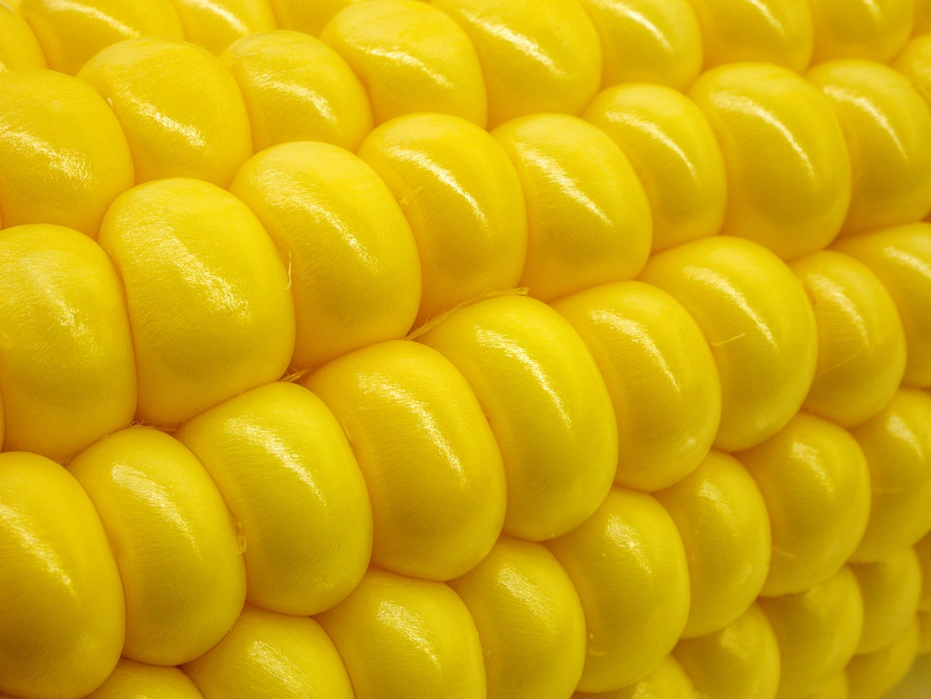 a close up of corn on the cob