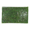 Seasoned Salad Seaweed Chuka REG Green 12x1kg