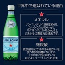 San Pellegrino Water PET - 24x500ml, image 6 of 6