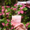 Fever Tree Pink Grapefruit Soda Water - 24x200ml, image 5 of 7