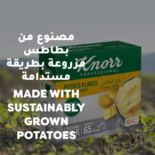 Knorr Potato Flakes Mashed Potato - 1x2kg, alternate view