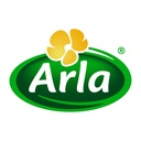 Arla Cream Cheese Spread 25% - 4x1.5kg