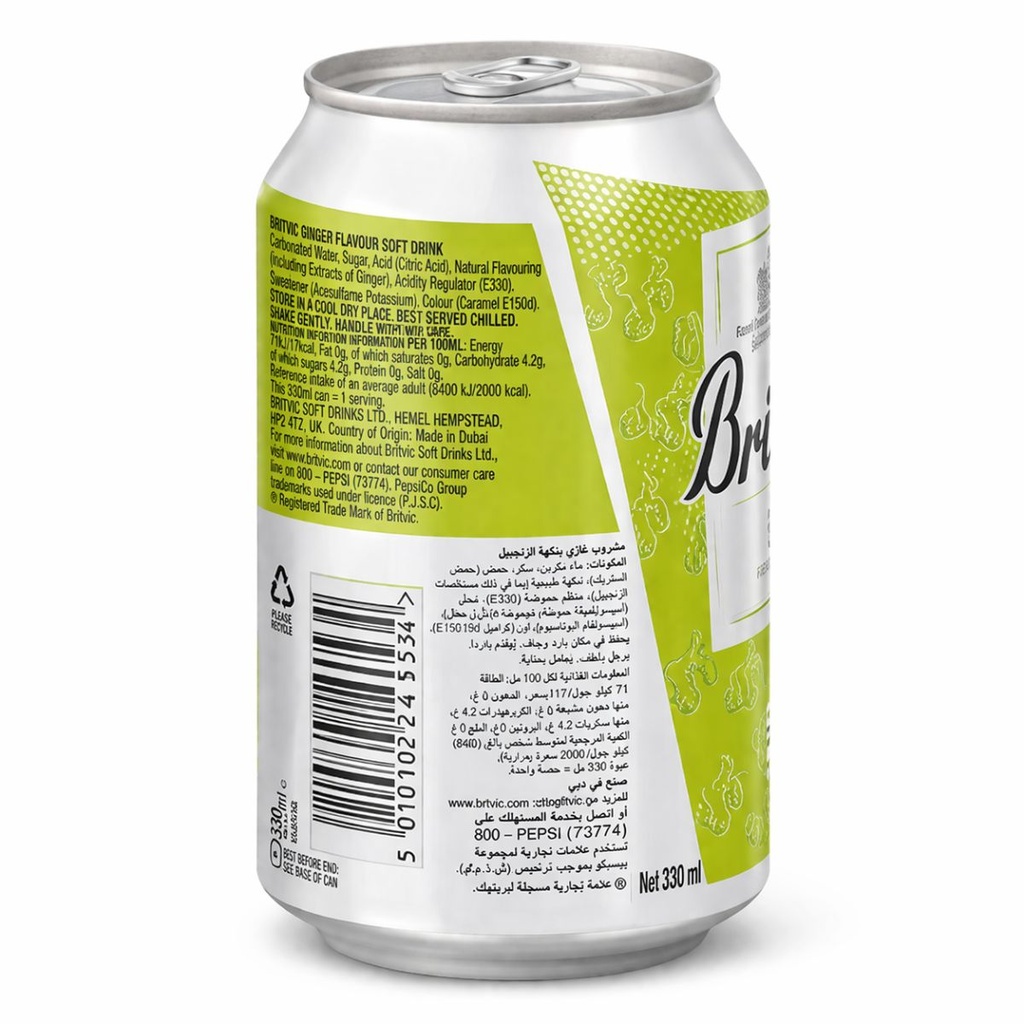 Britvic Ginger Ale Soft Drink - 24x300ml