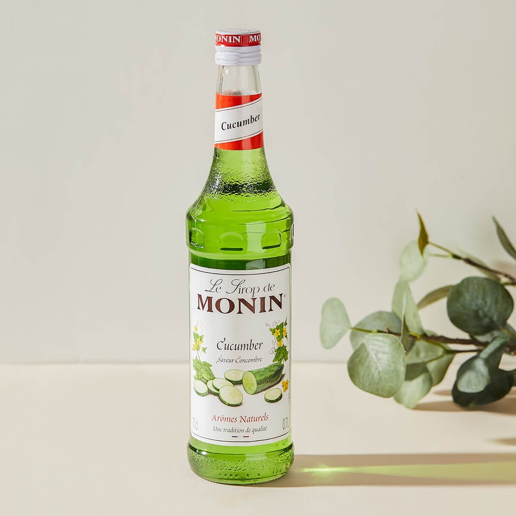 Authentic catalogue view 1 of Monin Cucumber Syrup, France - 6x700ml