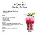 Monin Blueberry Fruit Mix Puree - 1LTR