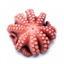 GGFT Octopus Boiled, China - 1KG