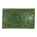 GGFT Seasoned Seaweed Salad, Chuka Wakame - 1KG