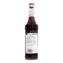 Monin Irish Syrup, France - 6x700ml