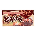 S&B Tasty Hayashi Rice Mix, Japan - 160G