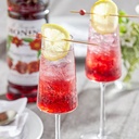 Monin Pomegranate Syrup, France - 6x700ml