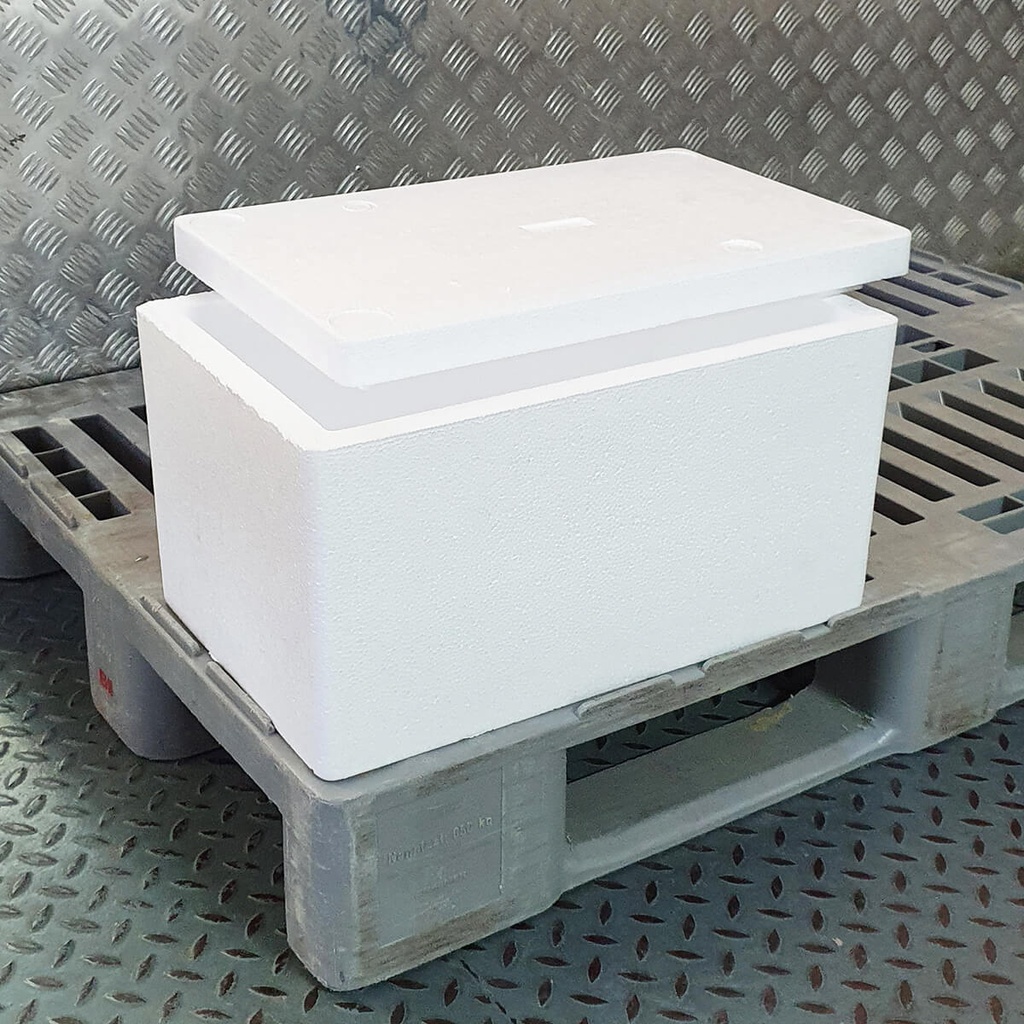 [NONF-805990] GGFT Galaxy Thermocol Box - 1x10kg