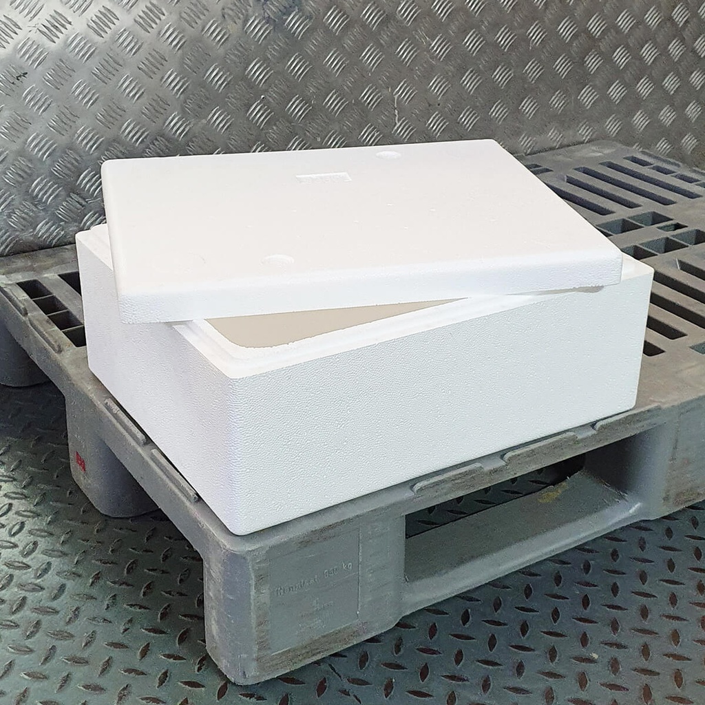 [NONF-805991] GGFT Galaxy Thermocol Box - 1x15kg