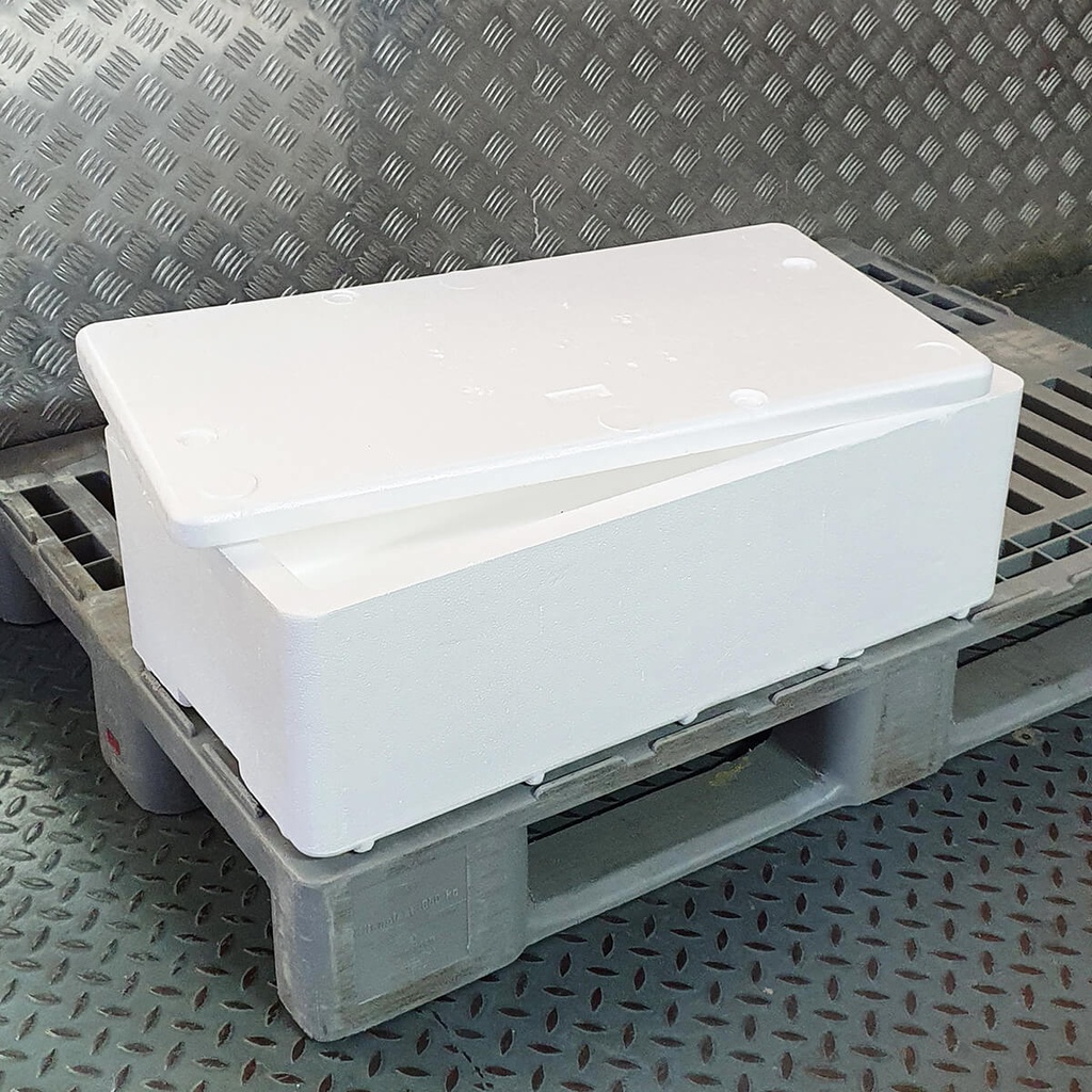 [NONF-805992] GGFT Galaxy Thermocol Box - 1x20kg
