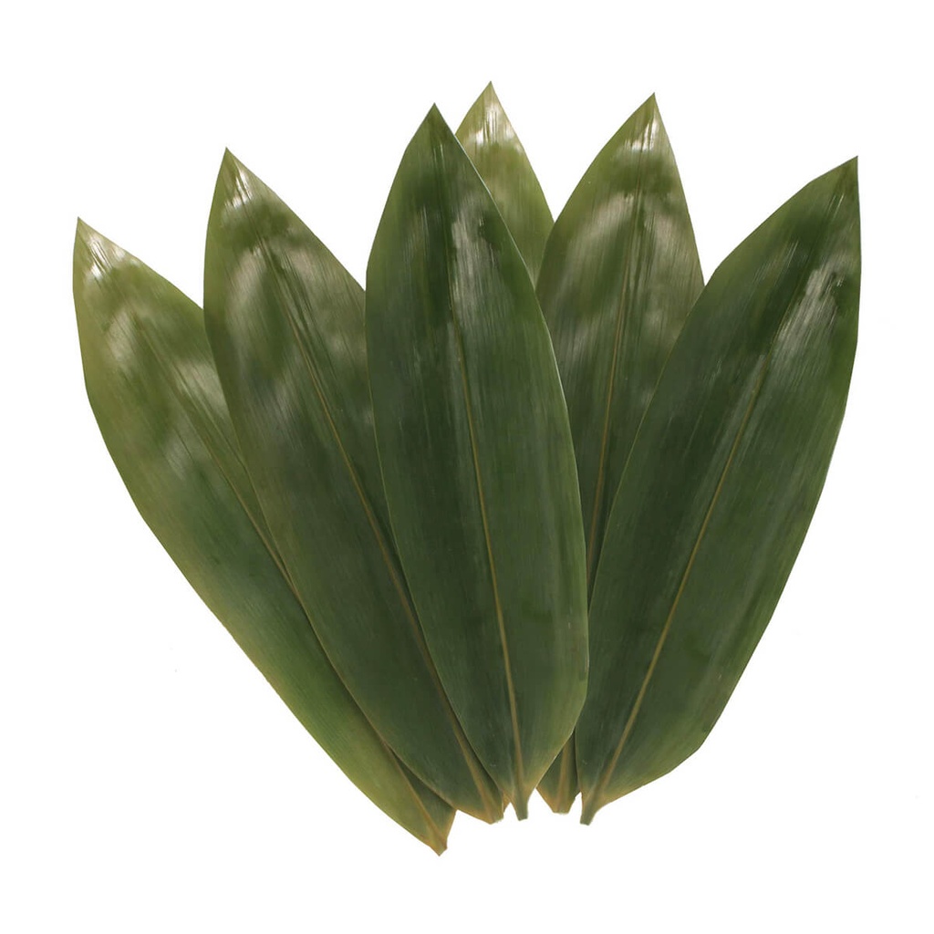 [VEJP-609867] QING Bamboo Leaves - 30x100pc