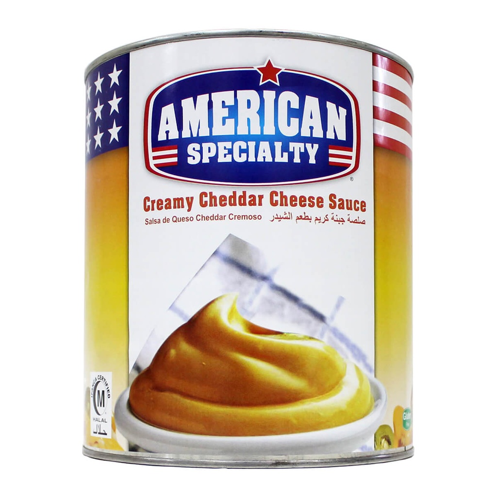 [BREK-151102] American Specialty Cheddar Cheese Sauce, Classic - 6x3kg