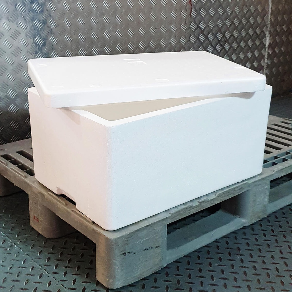 [NONF-806009] GGFT Galaxy Thermocol Box - 1x25kg