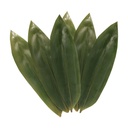 Sakura Jirushi Bamboo Leaves, 7-8CM - 30x100pc
