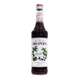 Monin Blueberry Syrup, France - 6x700ml