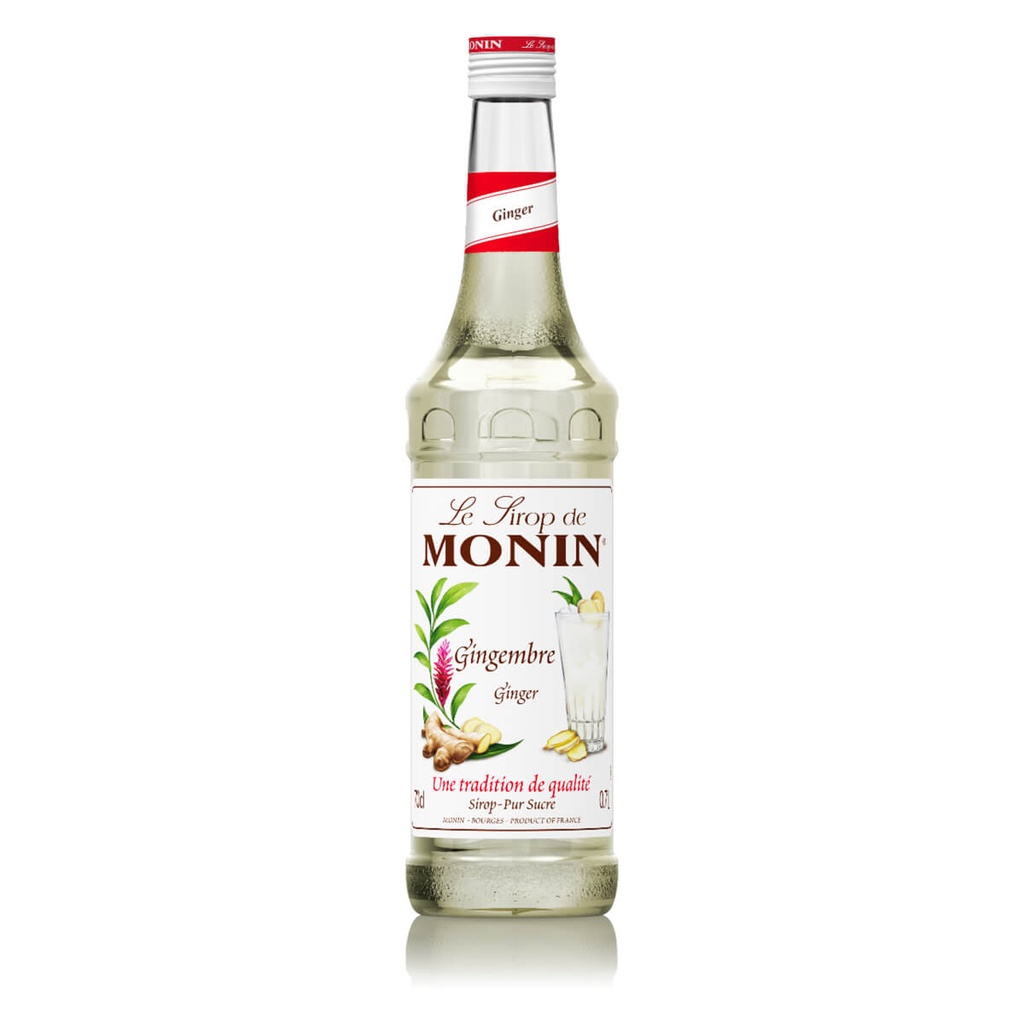 [BREK-358245] Monin Ginger Syrup, France - 6x700ml